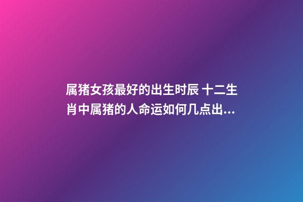属猪女孩最好的出生时辰 十二生肖中属猪的人命运如何几点出生最好-第1张-观点-玄机派